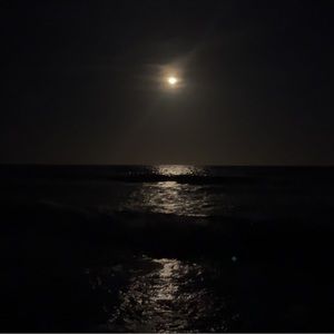 Meet your Posher, Britney